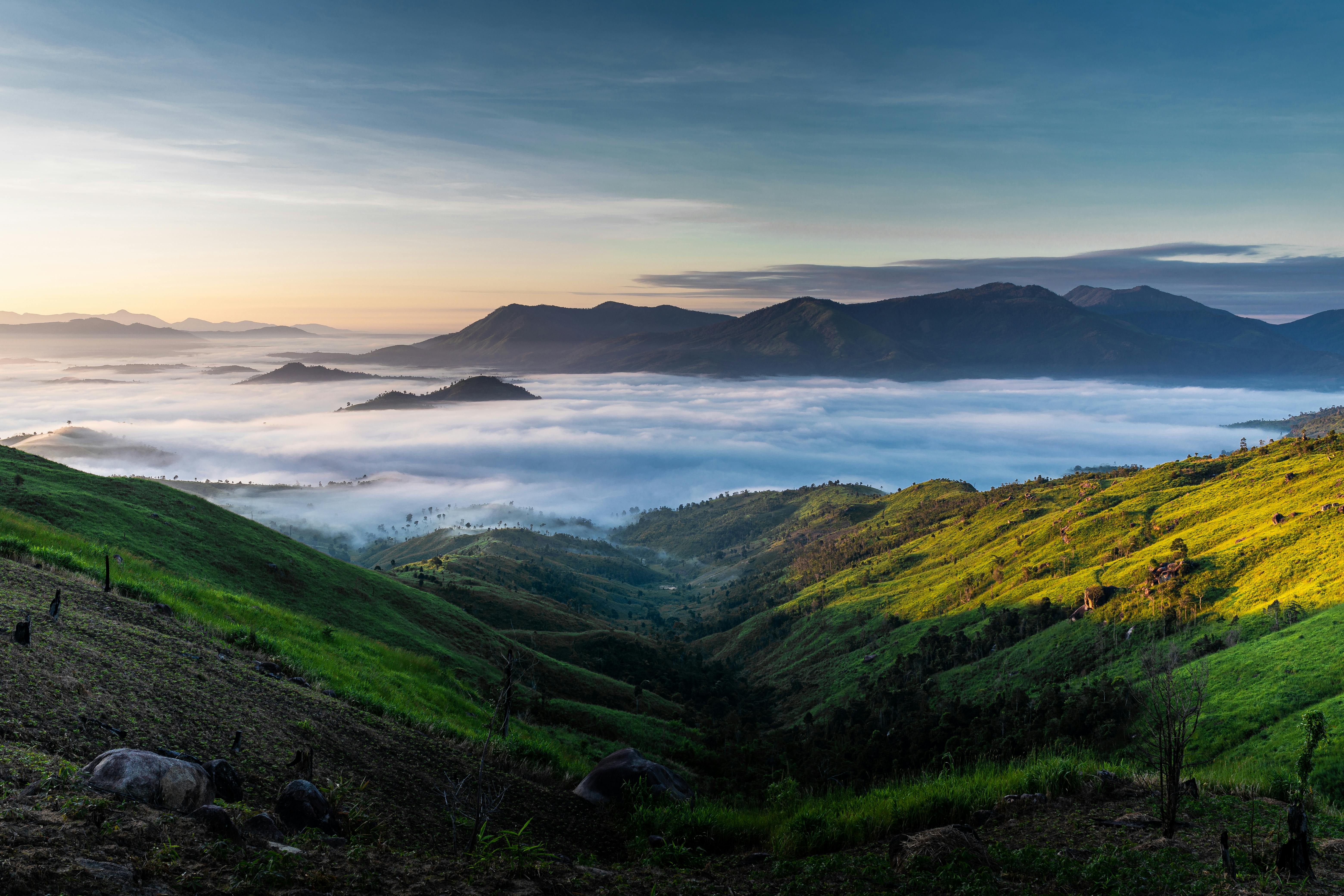 home-banner-background